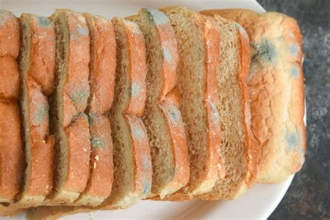 How to Keep Bread From Molding (15 Must.
